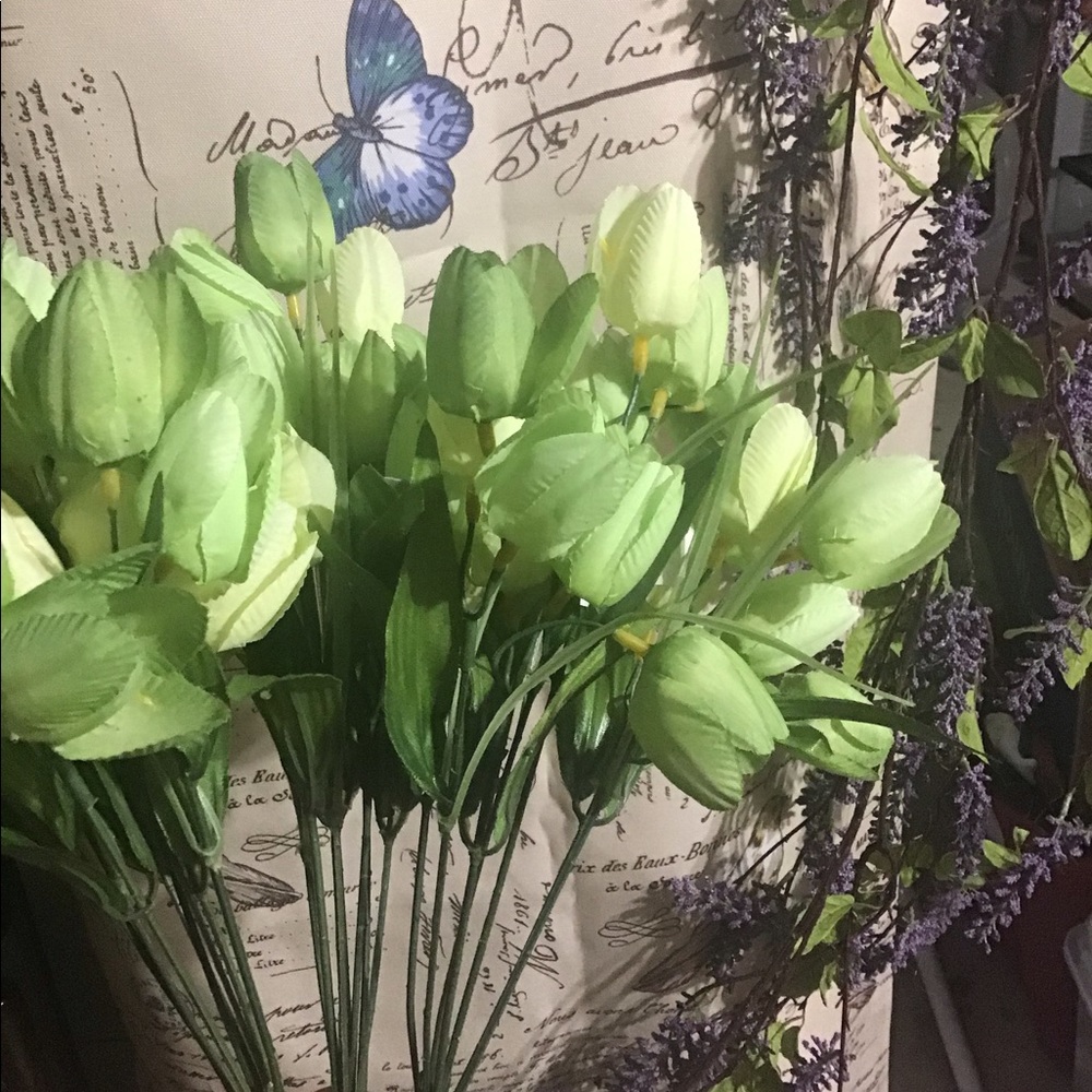3 separate stems of green/lt green tulip floral decor